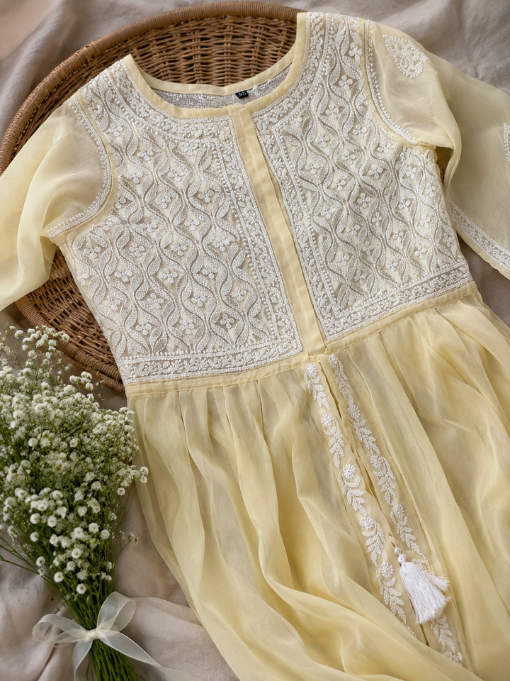 Beige Georgette Chikankari kurta