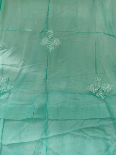 Sea Green Chikankari organza Dupatta