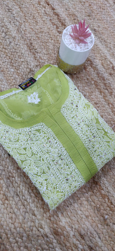 Light Green Georgette chikankari kurta