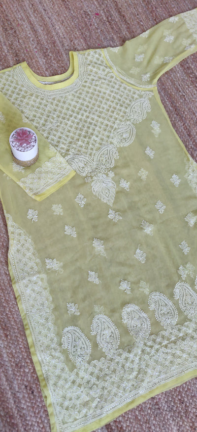 Plus size Georgette chikankari kurta